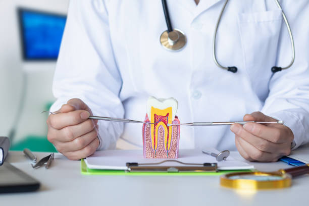 Best Emergency Dental Care for Broken or Chipped Teeth in Delphos, OH